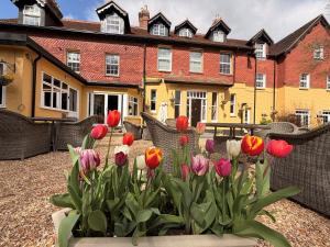 Moorhill House Hotel