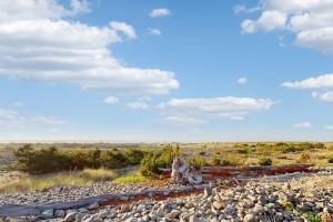 Dog-Friendly Oceanfront Home with Free WiFi Full Kitchen & Outdoor Fireplace