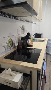 Apartmán - Café Princ pod Hradem WiFi, KLIMA