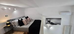 Raymihome saluzzo 1
