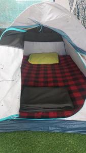 Mountain View Homestay