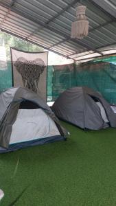 Mountain View Homestay