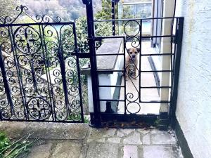 3 Bed in Kingswear oc-sdomeg