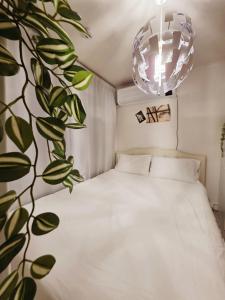 We & Seongsu Stay , SEOUL