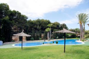 pinos y mar