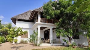 Kijibwe Chui Jambiani