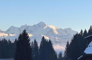 Appartement 3 chambres balcon vue montagne centre station