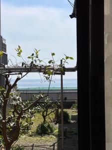 オーシャンビュー 海1分 駅1分 ペットOK -BOHS Inn