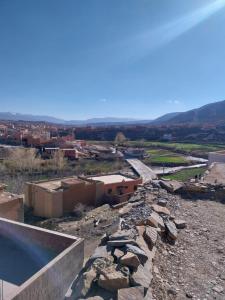 Berber Family