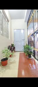 Ammu S Hom Homestay