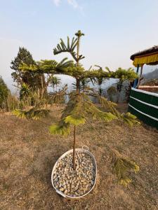 Druk Valley Farmstay