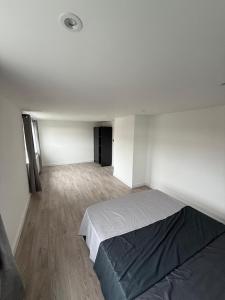 Peaceful, bright, comfy, stylish double bedroom with Shared Bathroom, Near Wembley Stadium, Gladstone Park, Hampstead Heath, Brent Cross Shopping Centre