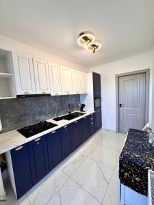 Theo Hills Visan