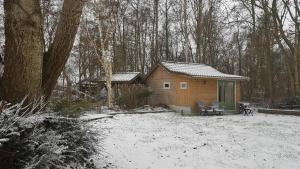 The Hyacint House