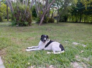 Sitio Serra e Mar