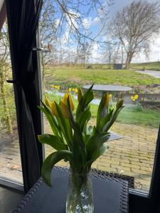 Hotelhuisjes Oosterleek