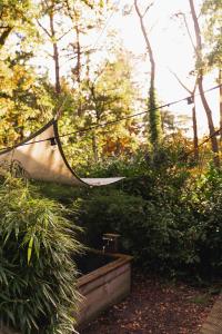 Luxe Hottub Japandi Tiny house in het Bos