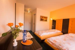 Double or Twin Room room in Hotel Franz Anton