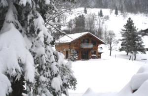 Chalets Chalet Elisa : photos des chambres