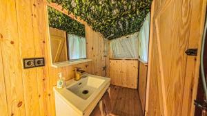 Quiet Cabin with Nature Views and Silence