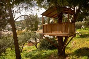 Cosy country house with treehouse in olive grove