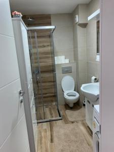 Lux Apartman Banja Koviljaca