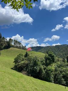 Cabaña Alpina La Bonita