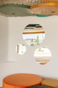 Canaryislandshost I Cauce