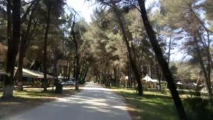 George Apartments Diviaka beach and national park