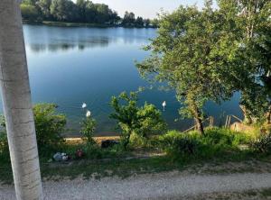 Lotus Pearl Lake Retreat Apartments