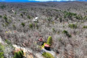 Serenity Woods - Pet Friendly - Gazebo w Rocking Chairs + Fire Table