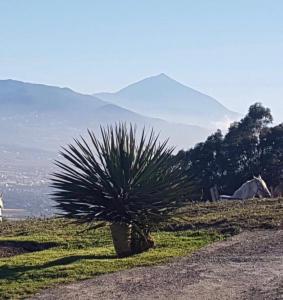 House overlooking teide