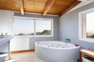 House overlooking teide
