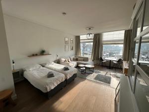 Job Baster Kraanplein - De Goudvis