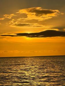 Les Terrasses de Bernus-Chic à 5 mn Port de Vannes