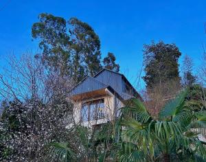 Villa Paradise