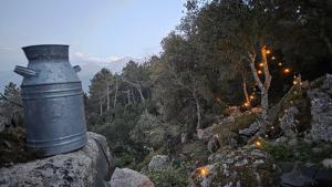 Rifugio Ortobene img14