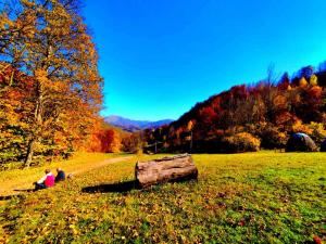 Zen Mont Chalet - Tara