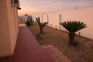 Luigis House
