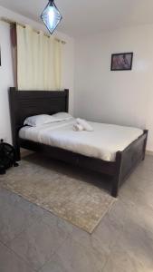 Oasis Signature Living