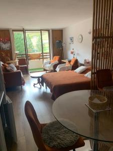 Appartement-Montagnes, pied des pistes et rémontées, été hiver