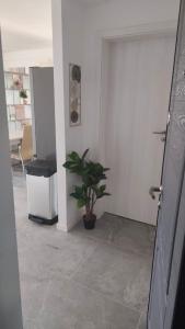 Studio 9 Tabăra Năvodari