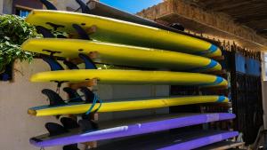 Africa Surf House