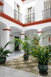 Teodosio Apartment FREE PARKING & CENTRAL AC
