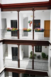 Teodosio Apartment FREE PARKING & CENTRAL AC
