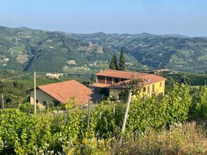 Villa Belpoggio Langhe Wine Country 15m pool High-Speed WiFi