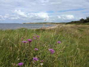Cosy holiday home near Limfjorden