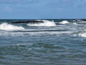 22 person holiday home in Frederiksværk