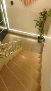 Habitacion nueva en la Roma Sur