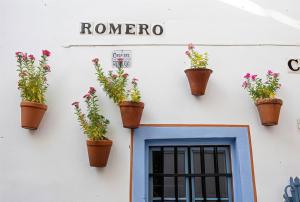 La Casa de la Musica - A unos pasos de la Mezquita